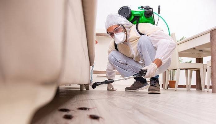 care zone pest control