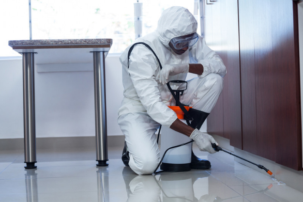 care zone pest